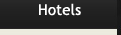 Russia Hotels